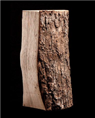 Getrocknete Asche – halbe Palette – 25 cm