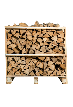 Getrocknete Asche – halbe Palette – 25 cm