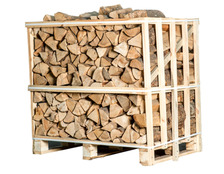 Getrocknete Asche – halbe Palette – 25 cm